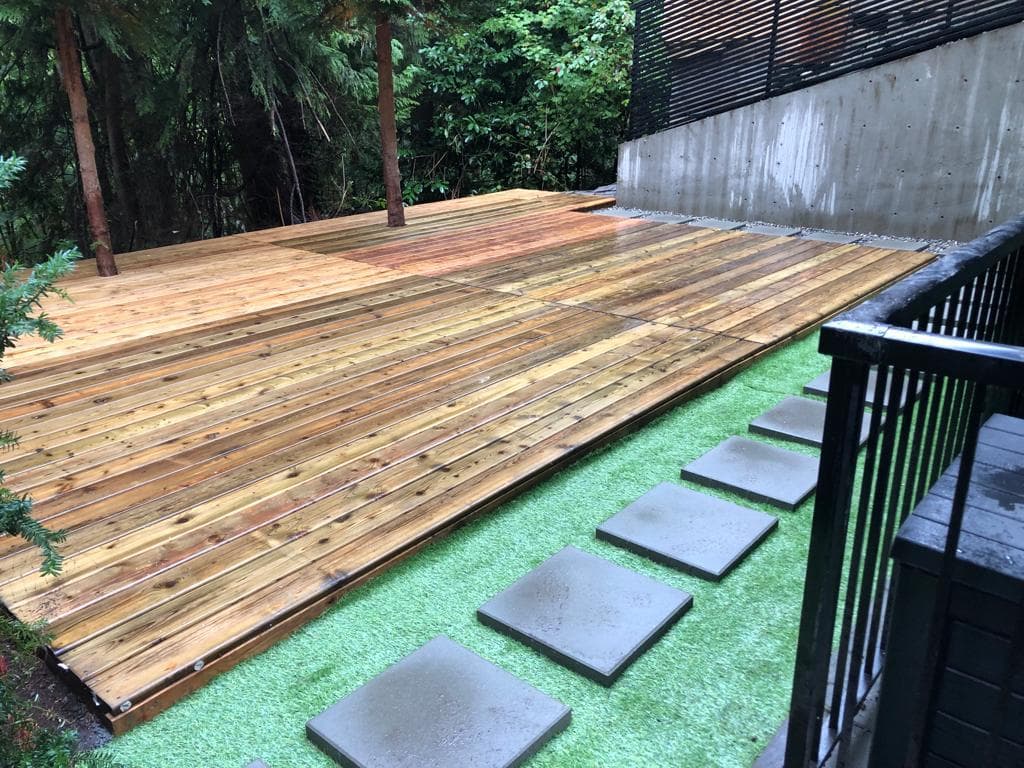Backyard Patio and Walkway