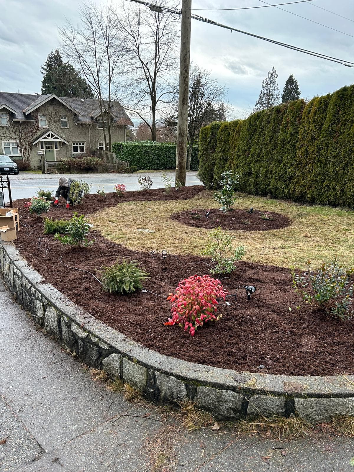 Pollinator Friendly Garden Build