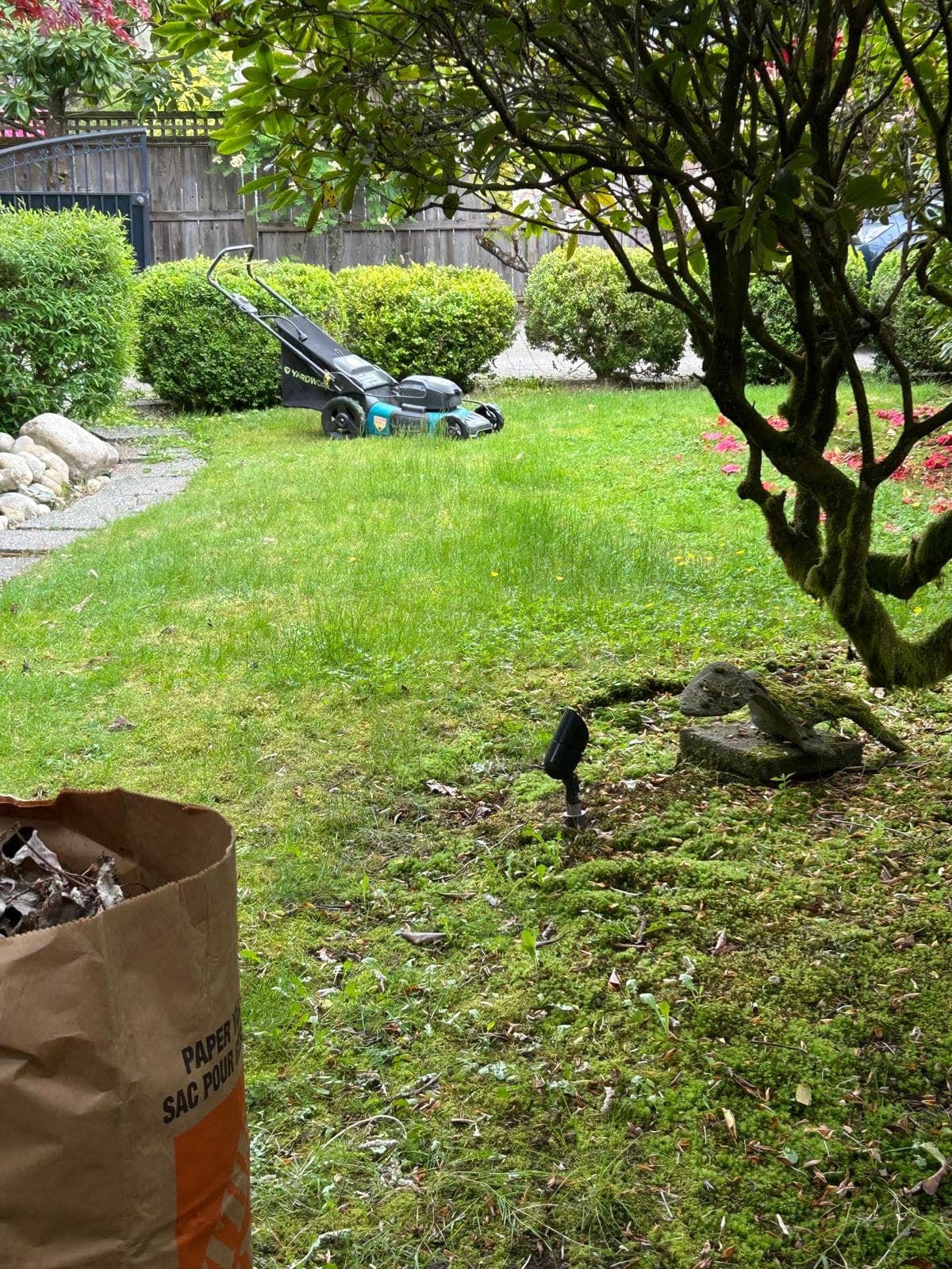 Weekly Family Yard Care Plan