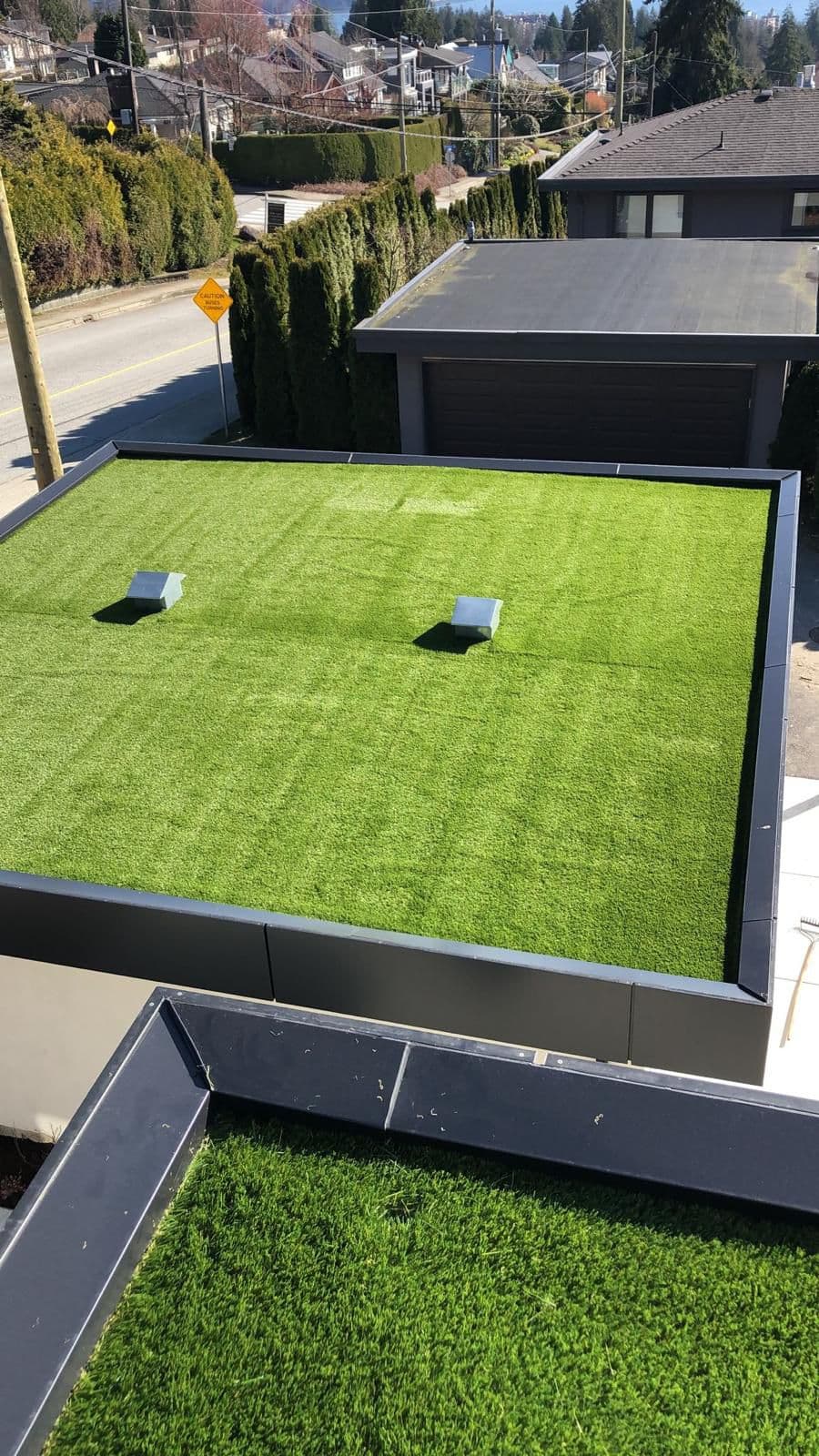roof grass 2