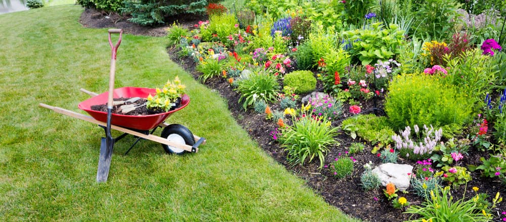 Garden Installation — project photo